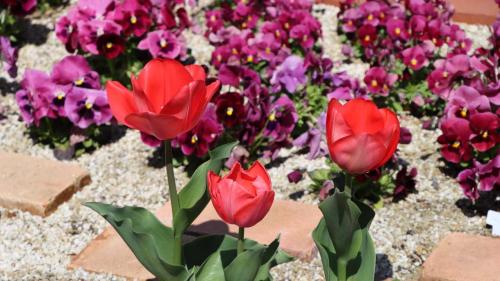 gallery_diary_04