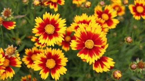 gallery_diary_06